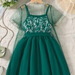 Mesh Dress